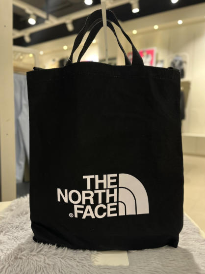 (現貨) THE NORTH FACE 2 WAY SHOULDER BAG